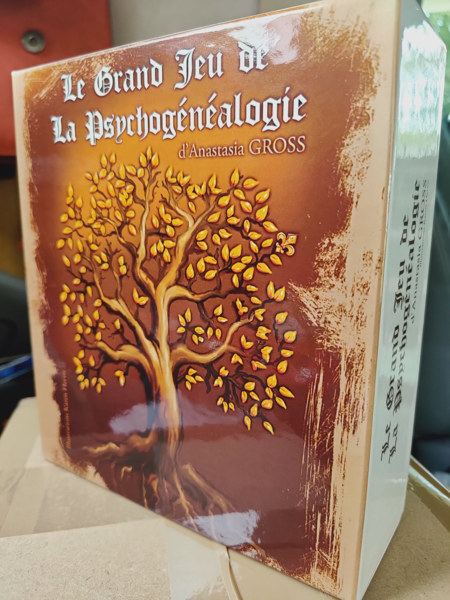En précommande - Le Grand Jeu de la Psychogénéalogie - jeu de 295 cartes pour explorer son passé familial et découvrir l'héritage émotionnel