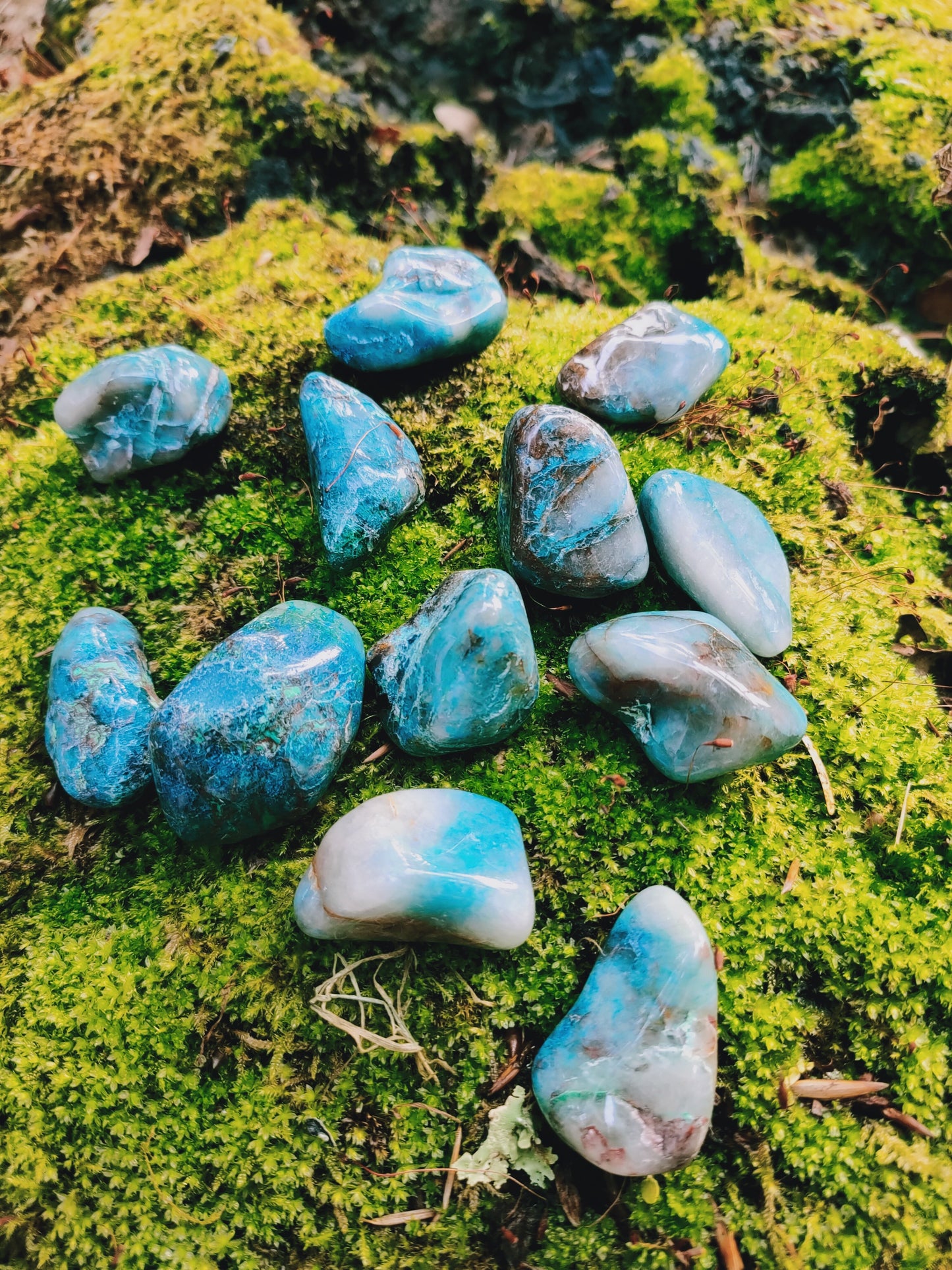 Chrysocolle Shattuckite de Namibie - Pierre roulée - Qualité AA - Environ 30 mm