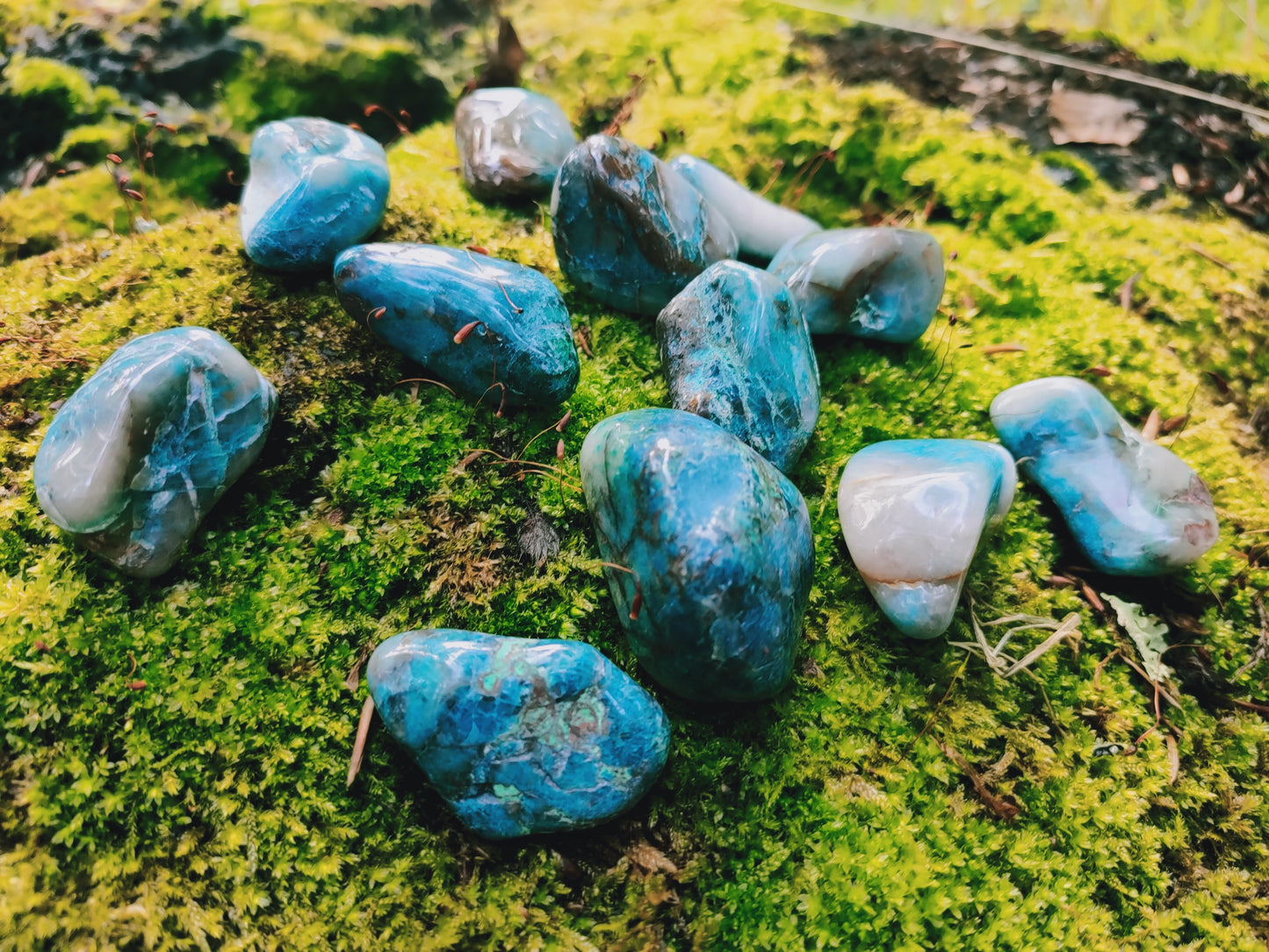 Chrysocolle Shattuckite de Namibie - Pierre roulée - Qualité AA - Environ 30 mm