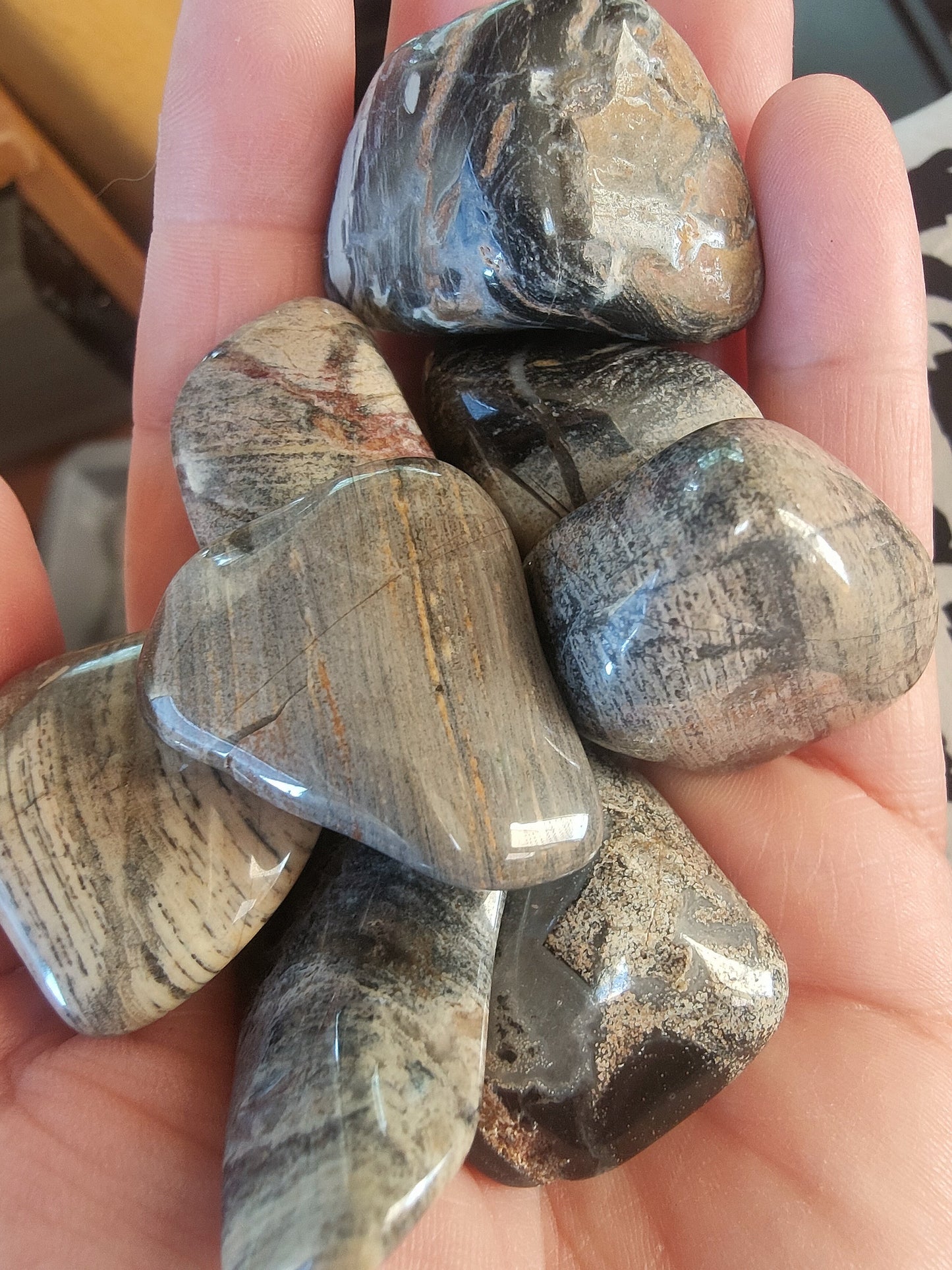 Jaspe feuille d'argent - Pierre roulée - Qualité A - Entre 30 à 40 mm
