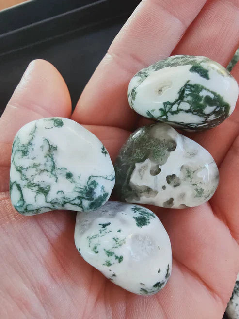 Agate Arbre d'Inde- Pierre roulée - Qualité A+ - Environ 30 mm