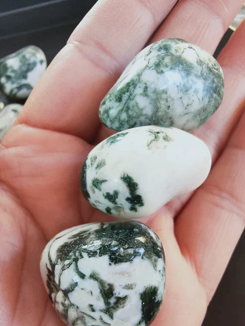 Agate Arbre d'Inde- Pierre roulée - Qualité A+ - Environ 30 mm