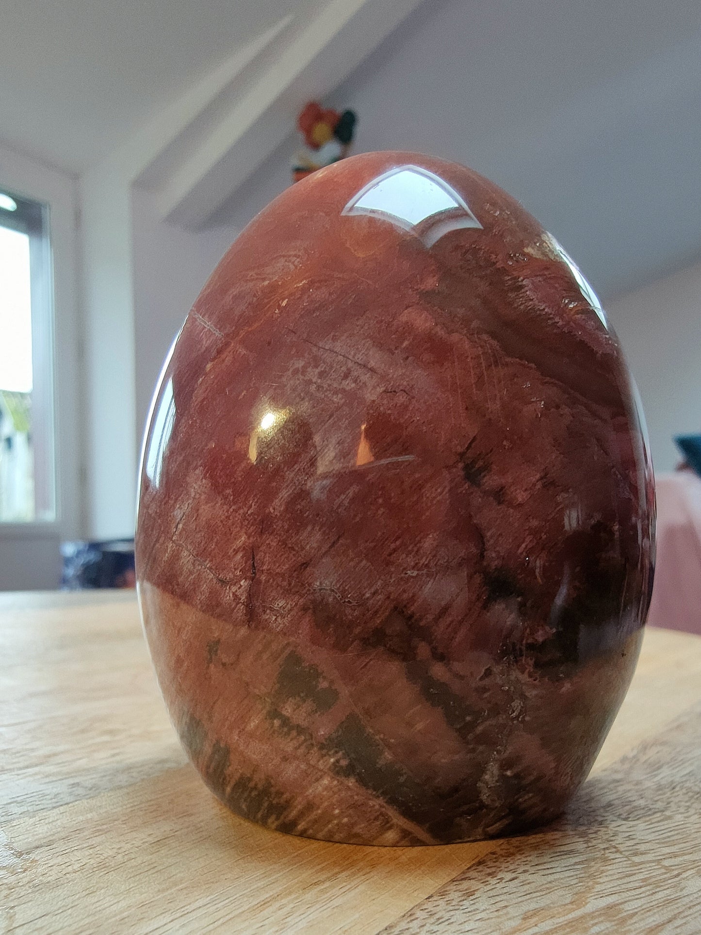 Bois fossile AA - Qualité +++ - La Rédemption de l'Arbre généalogique