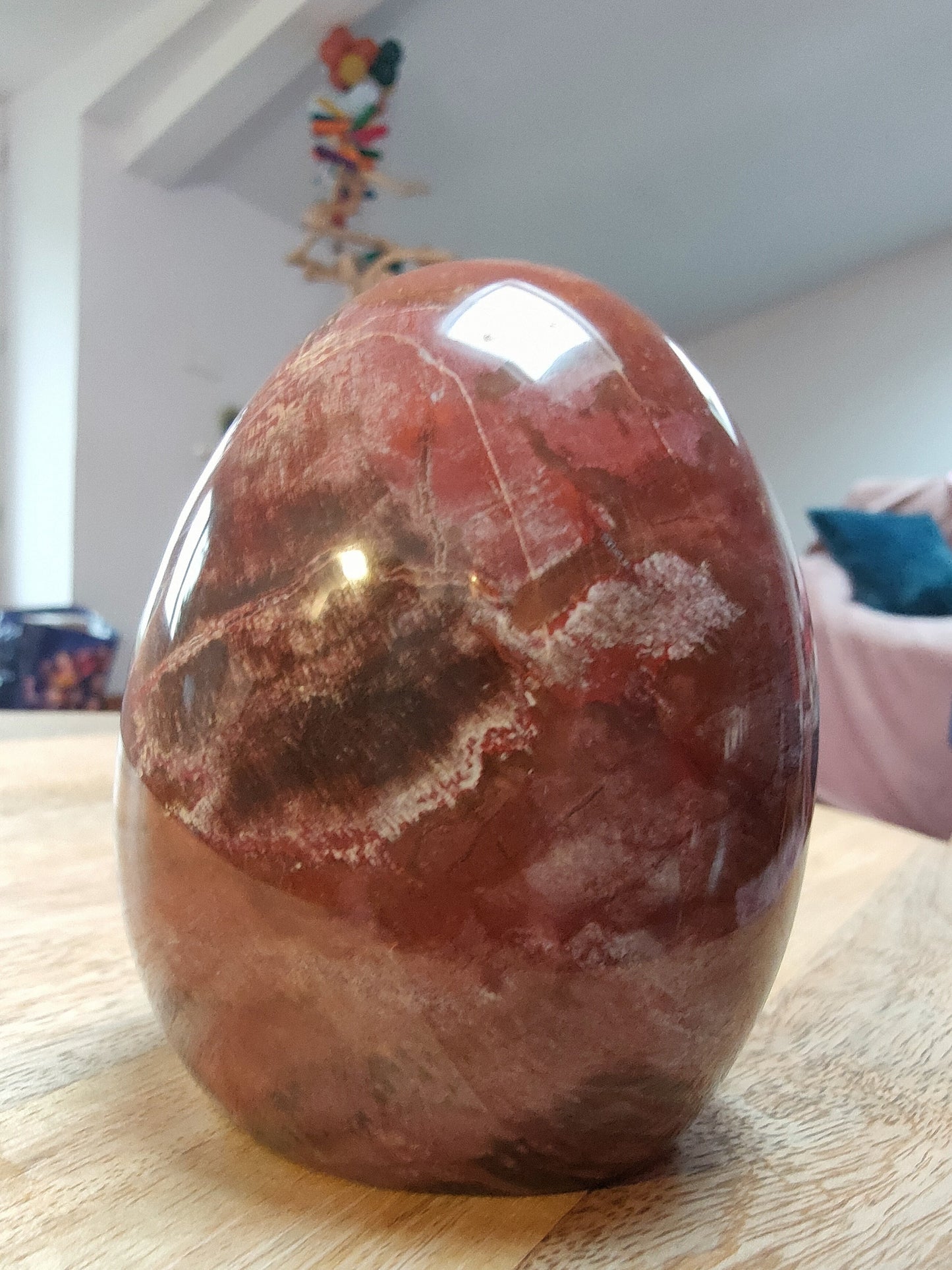 Bois fossile AA - Qualité +++ - La Rédemption de l'Arbre généalogique