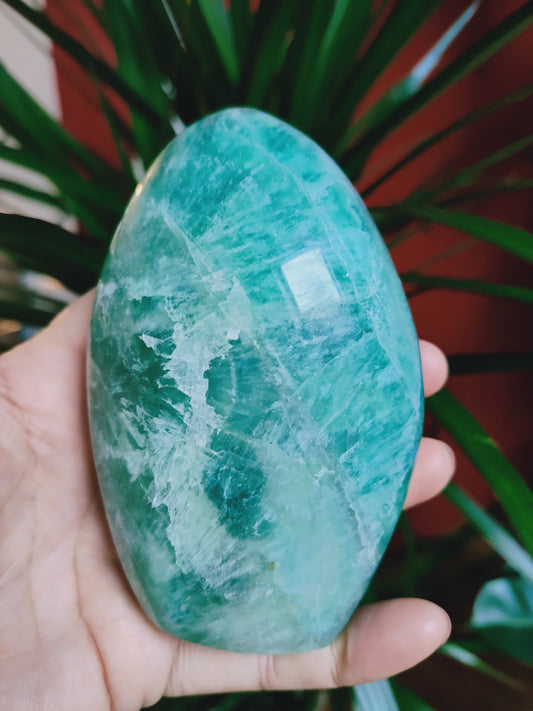 Fluorite Naturelle - Forme libre - Cristal de Discernement et d'Équilibre