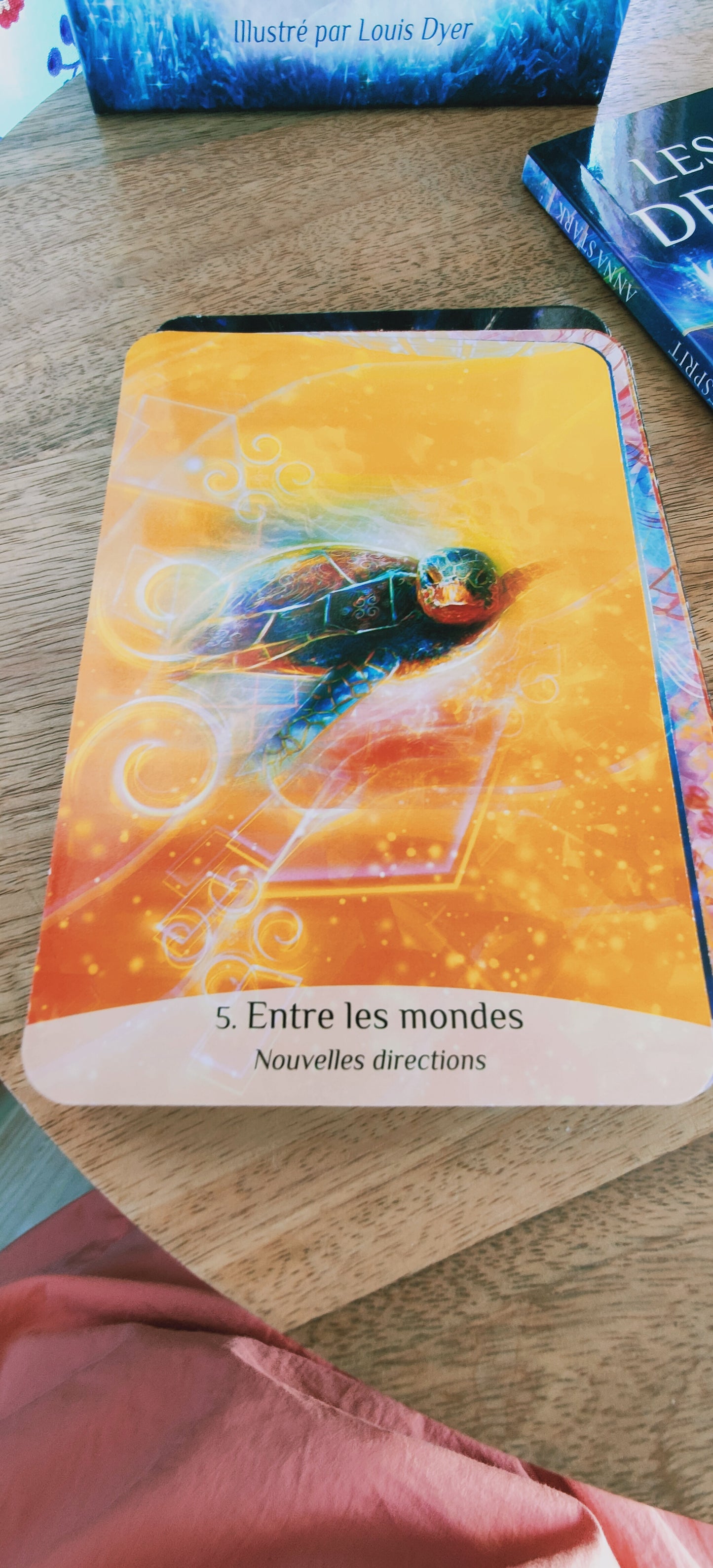 Occasion - L'Oracle des Rebelles Sacrés