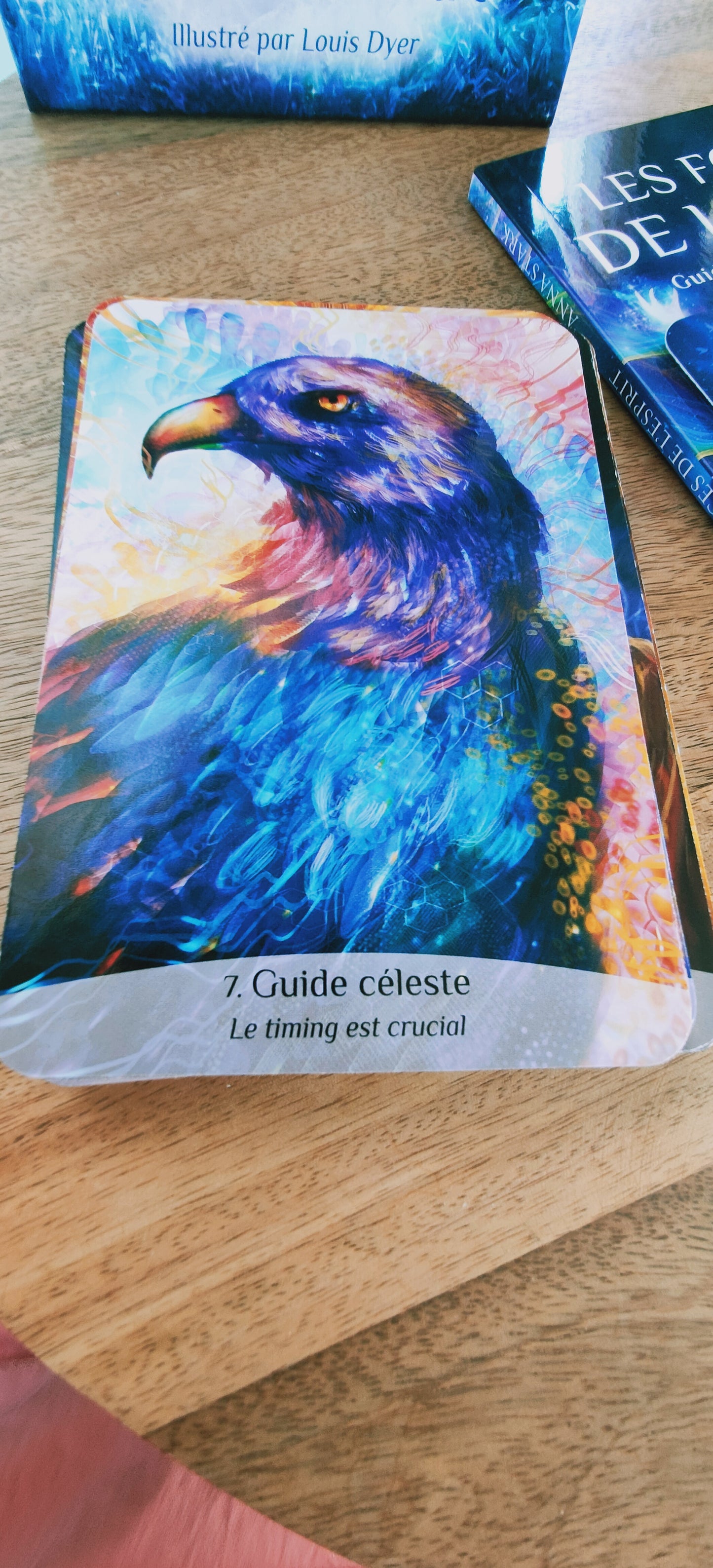 Occasion - L'Oracle des Rebelles Sacrés