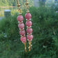 Boucles d'oreille en Thulite