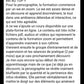 IDENTOLOGIE®  - Profiling identitaire - Formation complète 24 mois - Certification