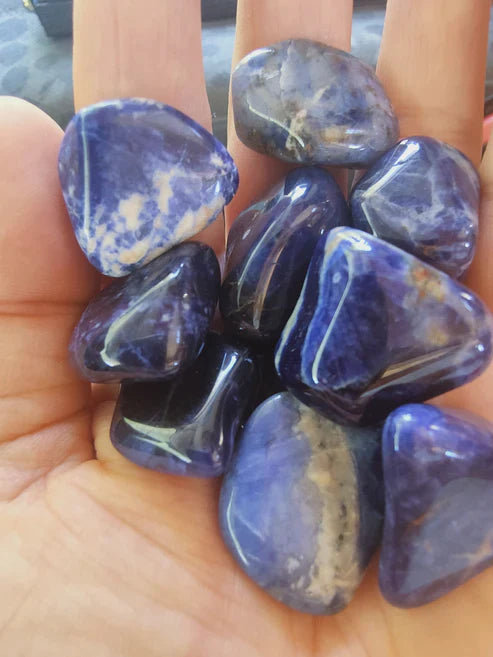 Sodalite de Namibie - Pierre roulée - Qualité AA - Taille au choix