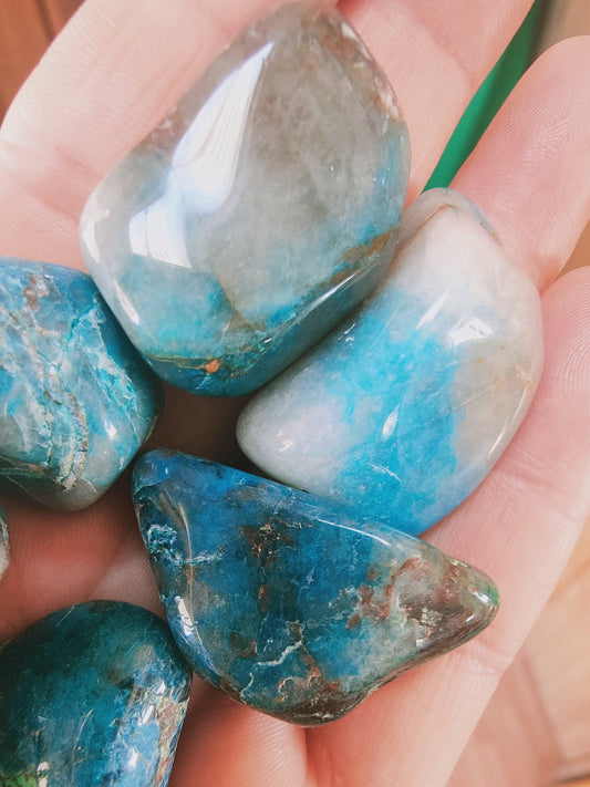 Chrysocolle Shattuckite de Namibie - Pierre roulée - Qualité AA - Environ 30 mm