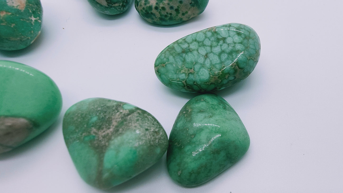 Variscite - Pierre roulée Prestige - Qualité AA - Taille au choix