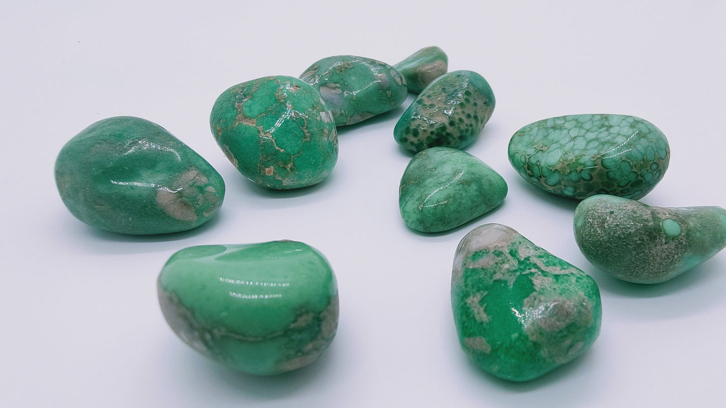 Variscite - Pierre roulée Prestige - Qualité AA - Taille au choix