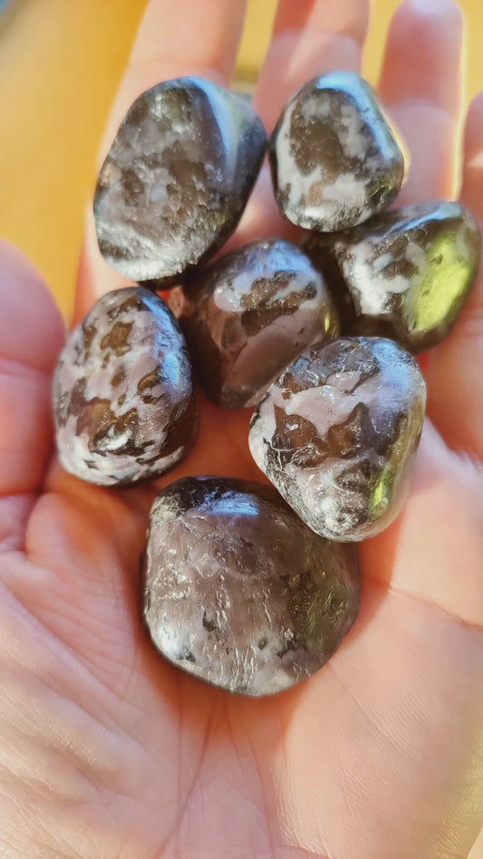 Gabbro - Pierre roulée - Qualité A - Taille au choix