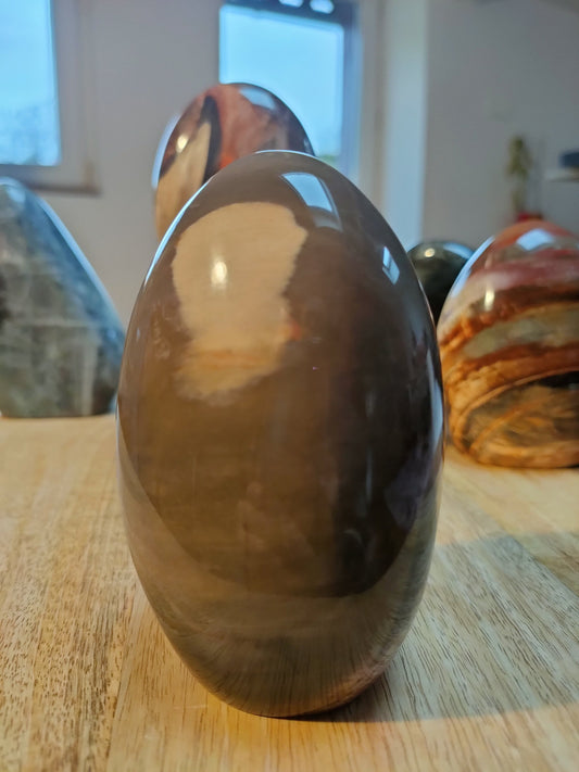 Bois fossile AA - Qualité +++ La Rédemption de l'Arbre généalogique